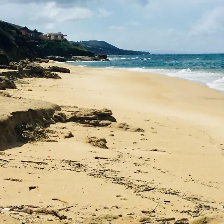 Asinara 2 *